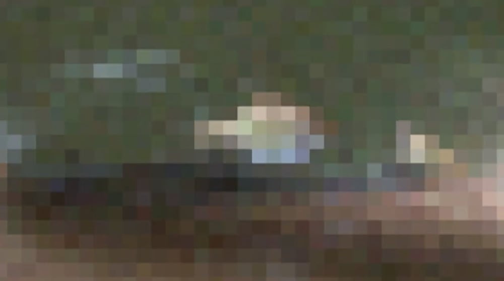 A pixelated picture of a fish in a fish tank