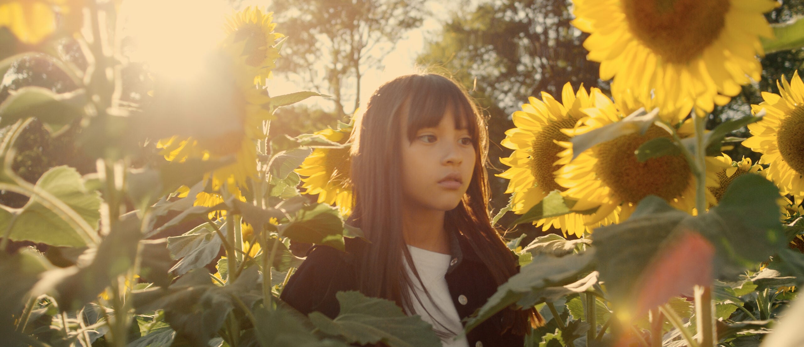 A child walking through a field of sunflowers, sun shining in the sky
